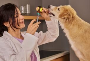 vacinas para filhote