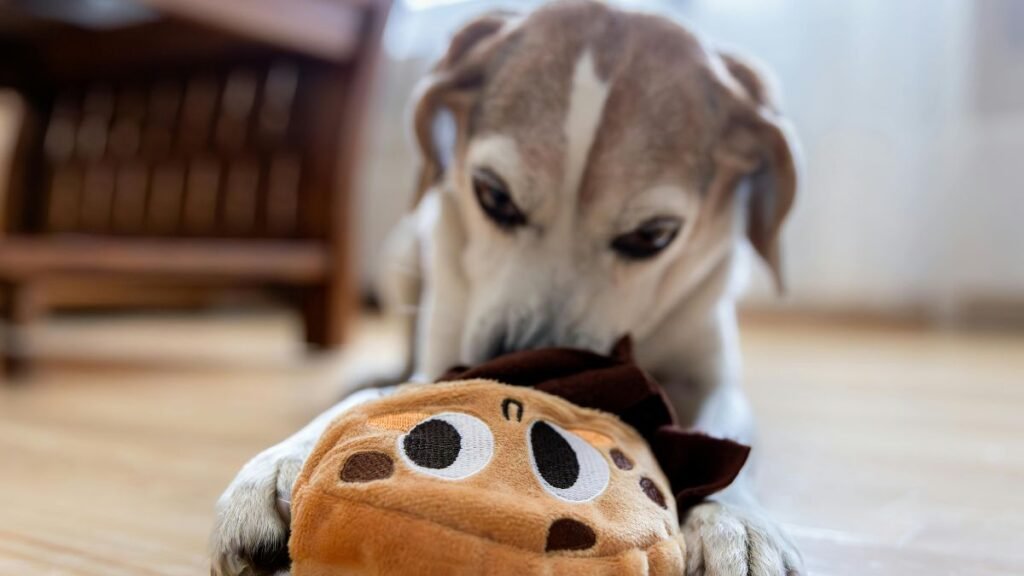 brinquedos para filhote de cachorro morder