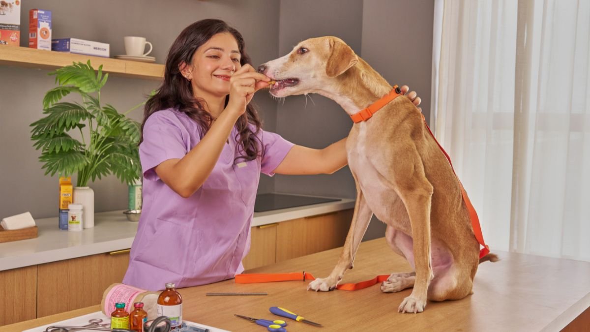 vermifugação de cachorro filhote