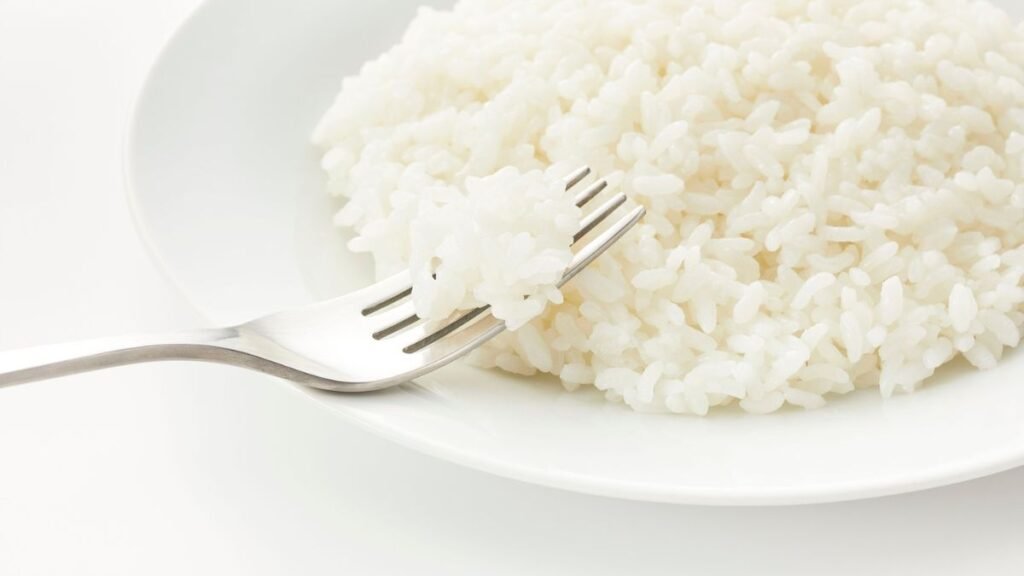 filhote de cachorro arroz